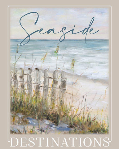 Seaside Destinations Black Ornate Wood Framed Art Print with Double Matting by DeRice, Julie