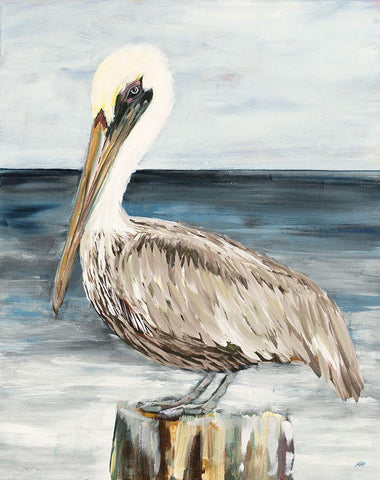 Muted Perched Pelican White Modern Wood Framed Art Print with Double Matting by DeRice, Julie