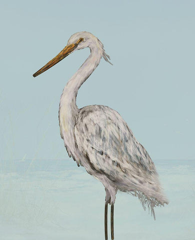 Coastal Heron II White Modern Wood Framed Art Print with Double Matting by DeRice, Julie