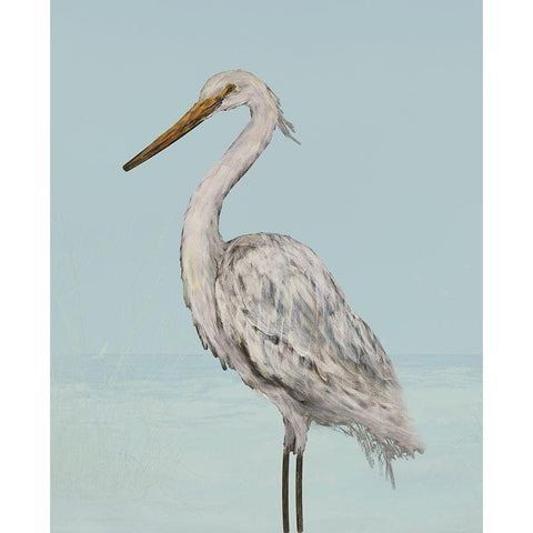 Coastal Heron II White Modern Wood Framed Art Print by DeRice, Julie