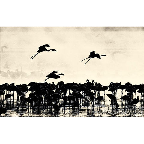 Heading East White Modern Wood Framed Art Print by Niassa Lion Project