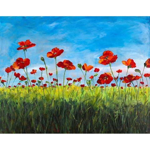 Wild Poppies Black Modern Wood Framed Art Print by DeRice, Julie