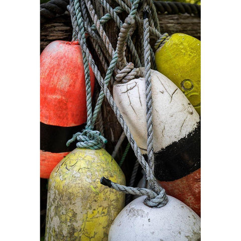 Boat Bumpers I White Modern Wood Framed Art Print by Amos, Andy