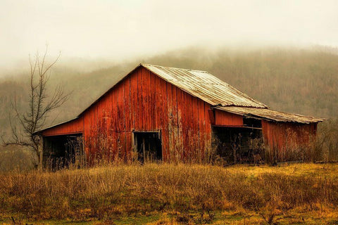 Skylight Barn in the Fog White Modern Wood Framed Art Print with Double Matting by Amos, Andy
