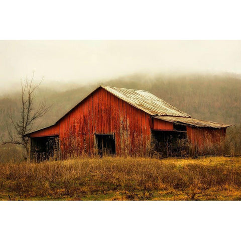 Skylight Barn in the Fog Gold Ornate Wood Framed Art Print with Double Matting by Amos, Andy