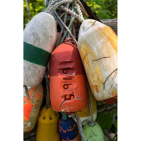 Boat Bumpers II White Modern Wood Framed Art Print by Amos, Andy