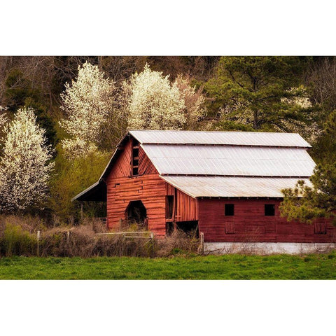 Skylight Red Barn Black Modern Wood Framed Art Print by Amos, Andy