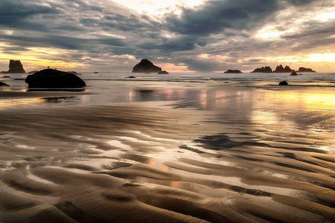 Pacific Low Tide Black Ornate Wood Framed Art Print with Double Matting by Amos, Andy