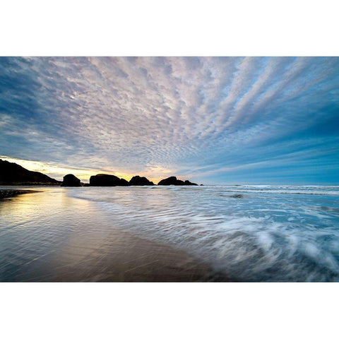 Cloudy Coast Gold Ornate Wood Framed Art Print with Double Matting by Amos, Andy