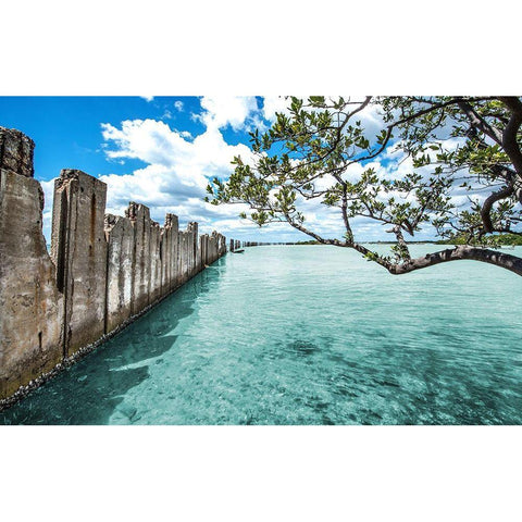 Crystal Clear Paradise Black Modern Wood Framed Art Print by Bill Carson Photography