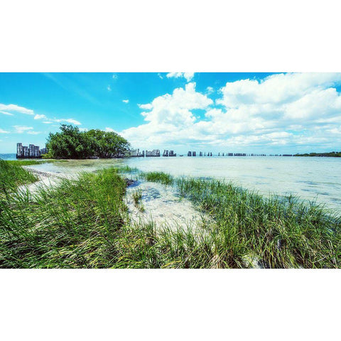 Tropical Coastline Gold Ornate Wood Framed Art Print with Double Matting by Bill Carson Photography