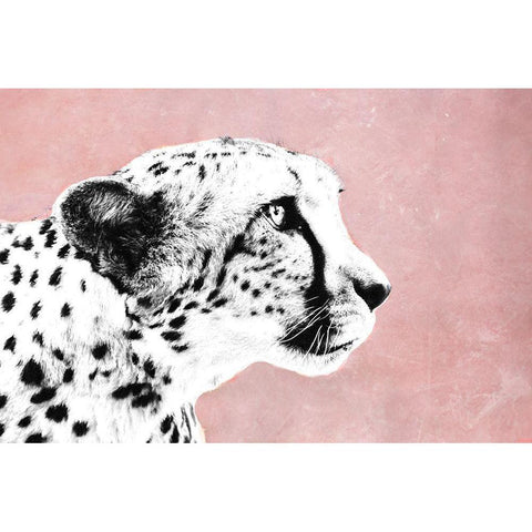 Wild White Modern Wood Framed Art Print by SD Graphics Studio