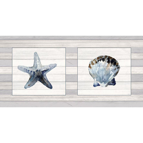 Starfish And Shell Duo Black Modern Wood Framed Art Print with Double Matting by Loreth, Lanie