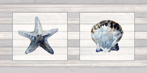 Starfish And Shell Duo White Modern Wood Framed Art Print with Double Matting by Loreth, Lanie