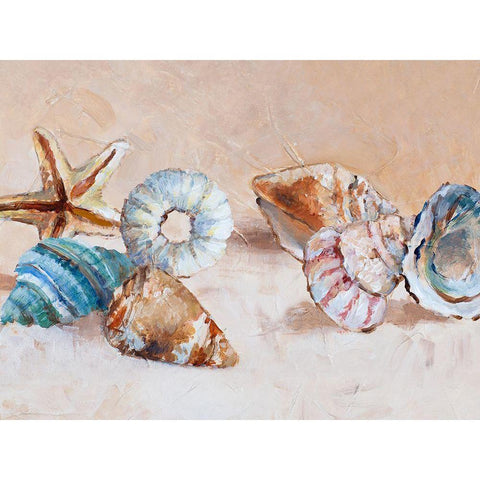 Shells on the Shore Rectangle Gold Ornate Wood Framed Art Print with Double Matting by Loreth, Lanie