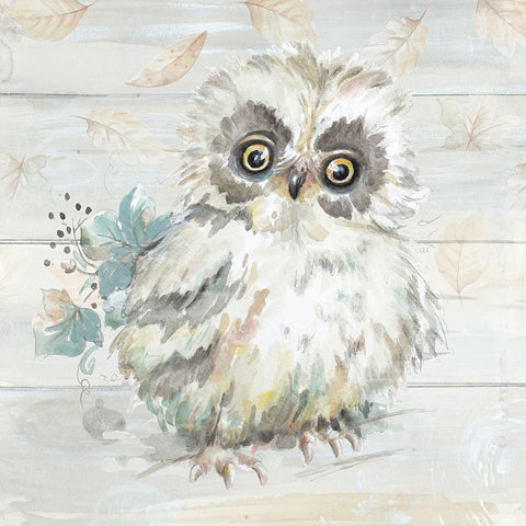 Baby Owl Amongst the Falling Leaves White Modern Wood Framed Art Print with Double Matting by Pinto, Patricia