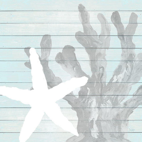 Starfish on Blue Wood Background Black Modern Wood Framed Art Print with Double Matting by DeRice, Julie