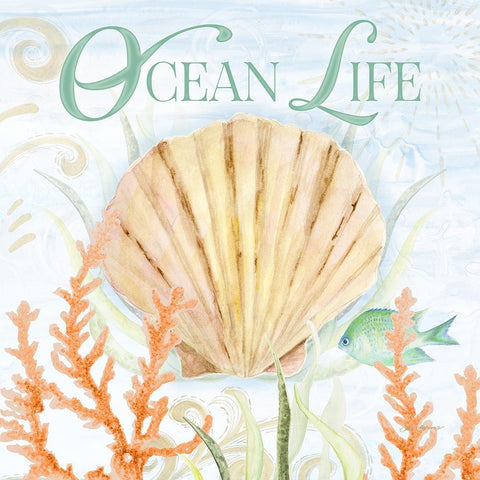 Ocean Life White Modern Wood Framed Art Print with Double Matting by Gaynor, Janice
