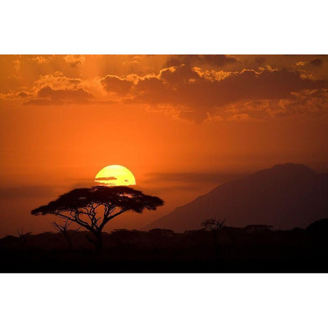 African Sunset I Gold Ornate Wood Framed Art Print with Double Matting by Jimmyz