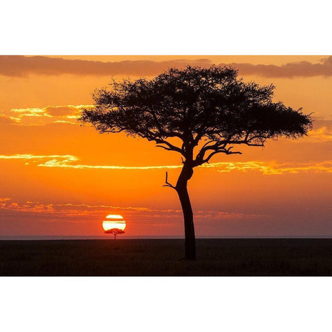 African Sunset II Black Modern Wood Framed Art Print with Double Matting by Jimmyz