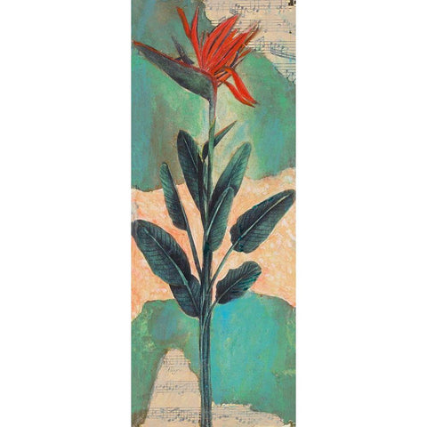 Bird Of Paradise Black Modern Wood Framed Art Print with Double Matting by Pattinian, Merri