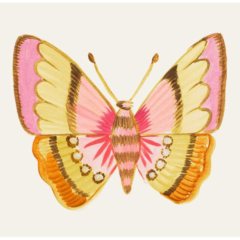 Bright Butterfly Gold Ornate Wood Framed Art Print with Double Matting by Del Sol, Ani