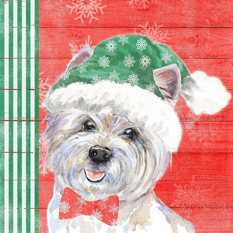 Holiday Puppy IV White Modern Wood Framed Art Print with Double Matting by Pinto, Patricia