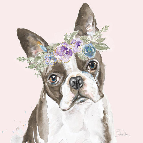 Flower Crown Pet III White Modern Wood Framed Art Print with Double Matting by Pinto, Patricia
