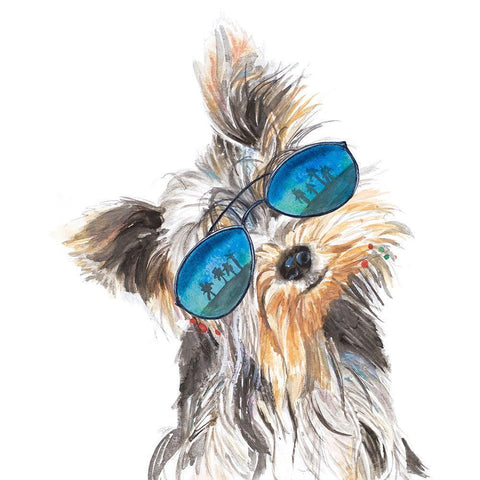 Yorkie with Shades Black Modern Wood Framed Art Print with Double Matting by Pinto, Patricia