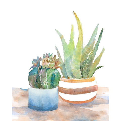 Blue and Brown Potted Succulents White Modern Wood Framed Art Print by Loreth, Lanie