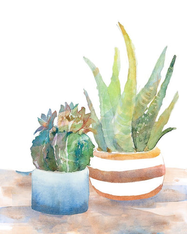 Blue and Brown Potted Succulents White Modern Wood Framed Art Print with Double Matting by Loreth, Lanie