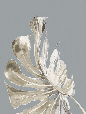 La Naturaleza on Gray II White Modern Wood Framed Art Print with Double Matting by Pinto, Patricia