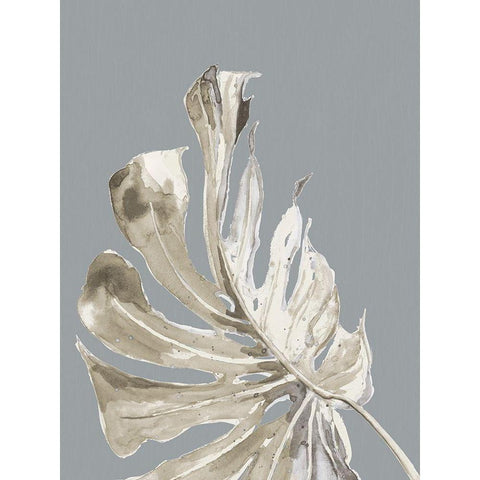 La Naturaleza on Gray II White Modern Wood Framed Art Print by Pinto, Patricia