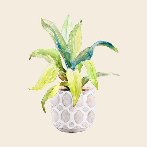 Decorative Potted Plant I White Modern Wood Framed Art Print with Double Matting by Loreth, Lanie