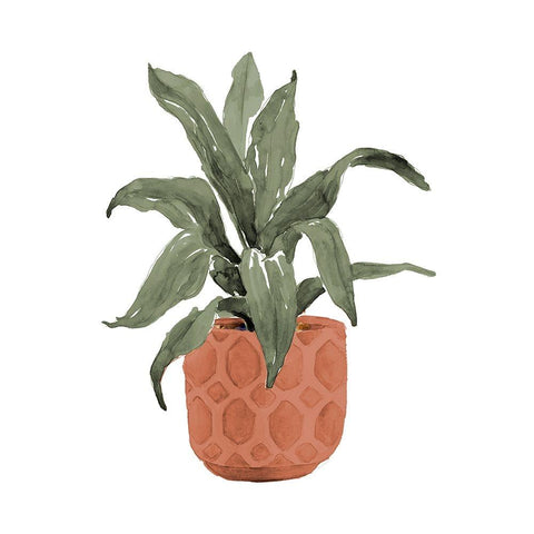 Plant In Terracotta Pot I Black Modern Wood Framed Art Print with Double Matting by Loreth, Lanie