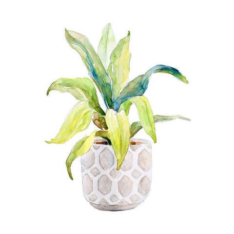 Plant in Decorative Pot I White Modern Wood Framed Art Print with Double Matting by Loreth, Lanie