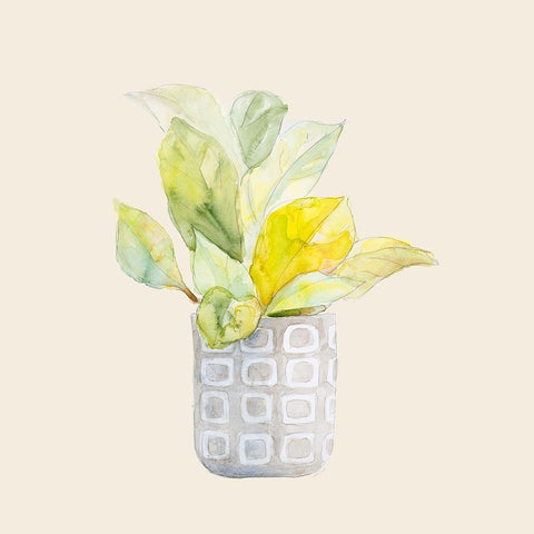 Decorative Potted Plant II White Modern Wood Framed Art Print by Loreth, Lanie