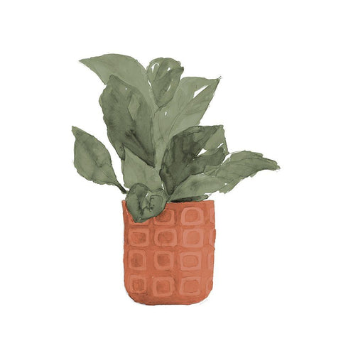 Plant In Terracotta  Pot II White Modern Wood Framed Art Print by Loreth, Lanie