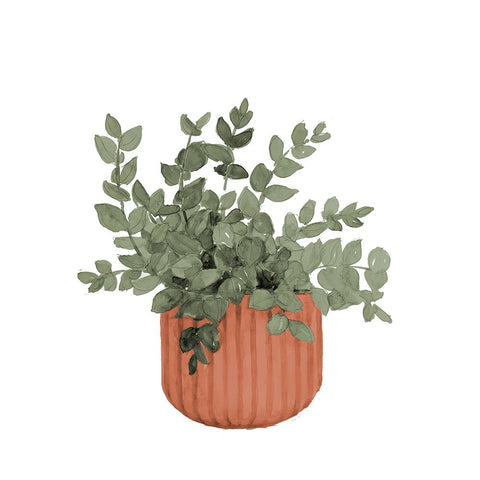 Plant In Terracotta  Pot IV White Modern Wood Framed Art Print with Double Matting by Loreth, Lanie