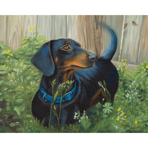 Dachshund Gold Ornate Wood Framed Art Print with Double Matting by Hakimipour, Tiffany