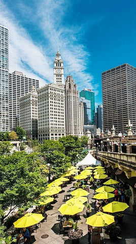 Chicago Mornings Black Ornate Wood Framed Art Print with Double Matting by Bill Carson Photography