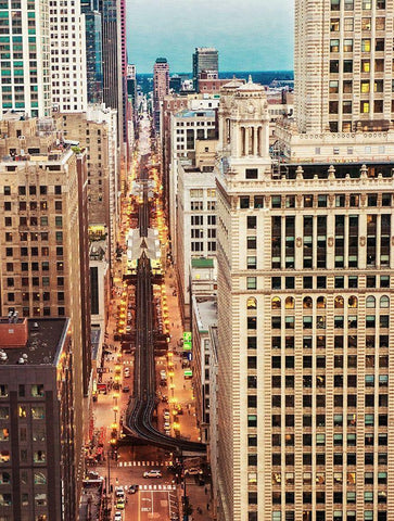 City View Black Ornate Wood Framed Art Print with Double Matting by Bill Carson Photography
