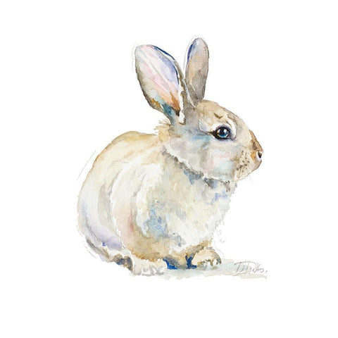 Baby Rabbit White Modern Wood Framed Art Print with Double Matting by Pinto, Patricia