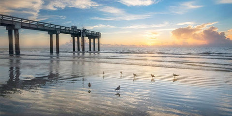 Sunset Pier Black Ornate Wood Framed Art Print with Double Matting by Amos, Andy