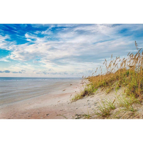 Afternoon Breeze Black Modern Wood Framed Art Print with Double Matting by Amos, Andy