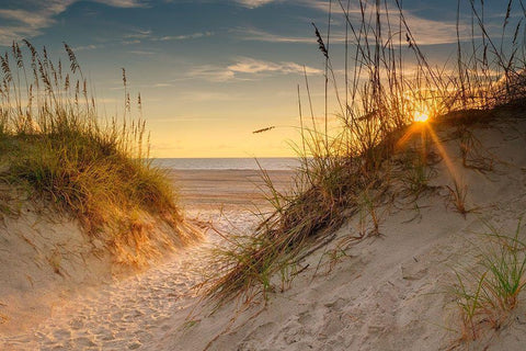 Coastal Dunes White Modern Wood Framed Art Print with Double Matting by Amos, Andy