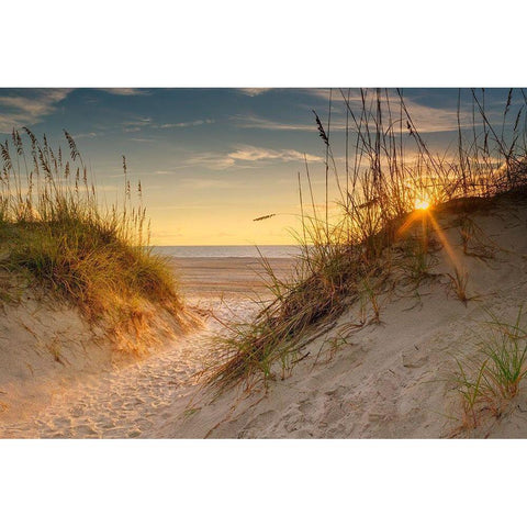 Coastal Dunes White Modern Wood Framed Art Print by Amos, Andy