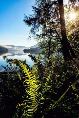 Lake Side View White Modern Wood Framed Art Print with Double Matting by Amos, Andy