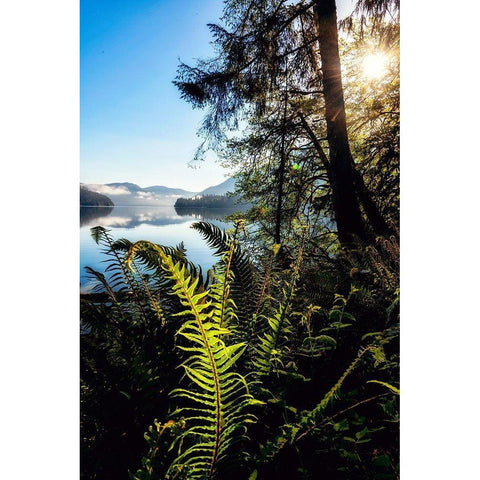 Lake Side View Black Modern Wood Framed Art Print by Amos, Andy