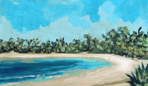 Beach Shore Black Ornate Wood Framed Art Print with Double Matting by Meneely, Dan